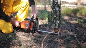 Best Aeration Services  in Hauser, ID