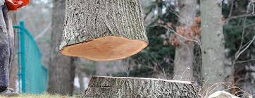 Best Firewood Processing and Delivery  in Hauser, ID