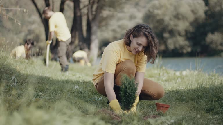 Best Lawn Maintenance Plans  in Hauser, ID